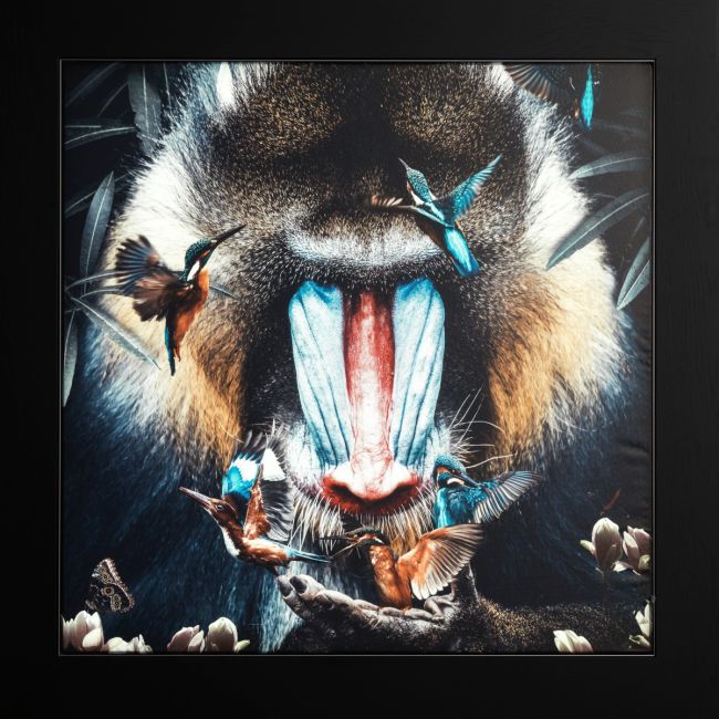 Peinture lumineuse Mandrill