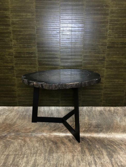 Table en bois pétrifié brut